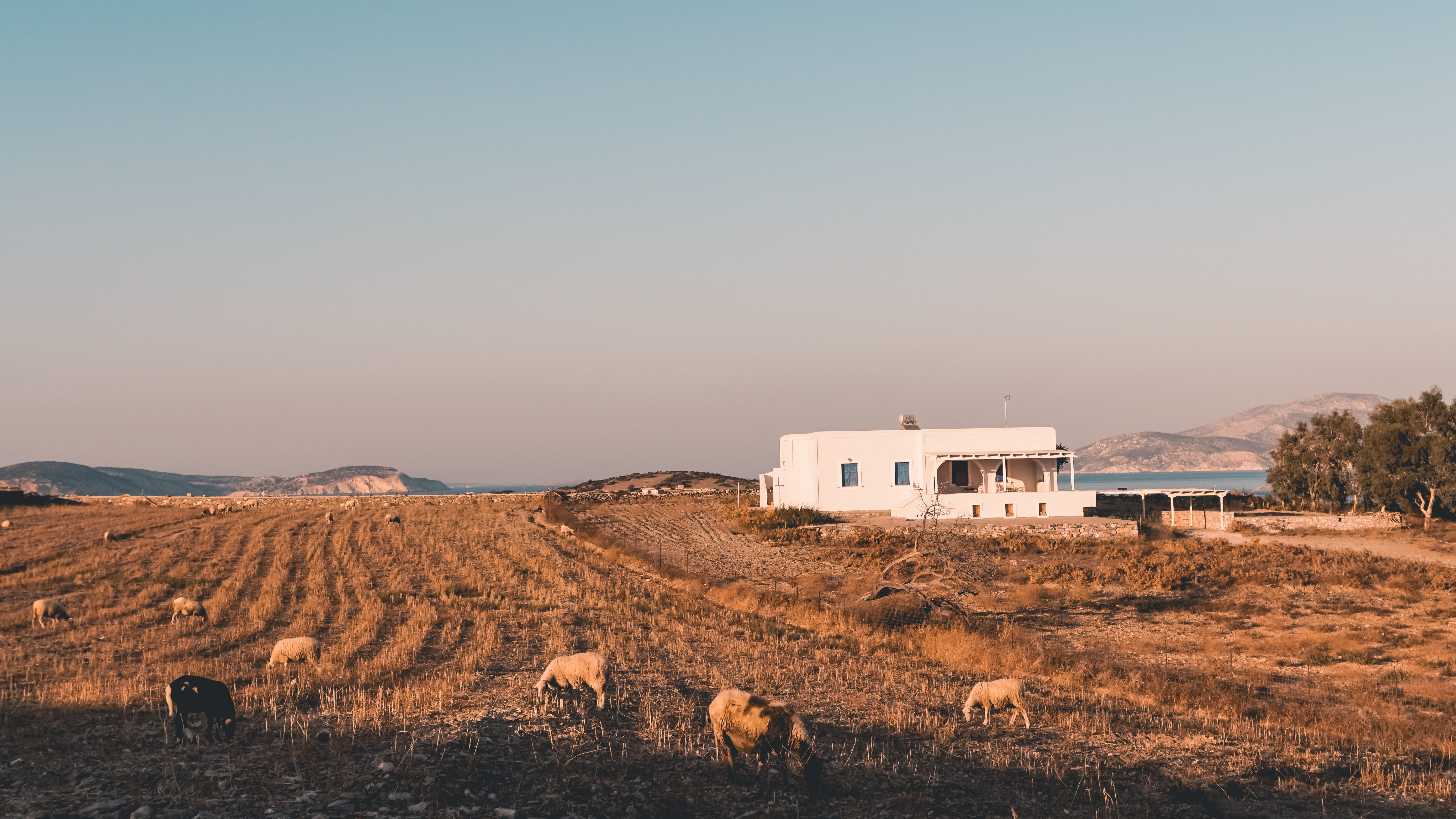 Σχοινούσα 4 διάσημοι travel bloggers του εξωτερικού αποκαλύπτουν τη δική τους Ελλάδα-6