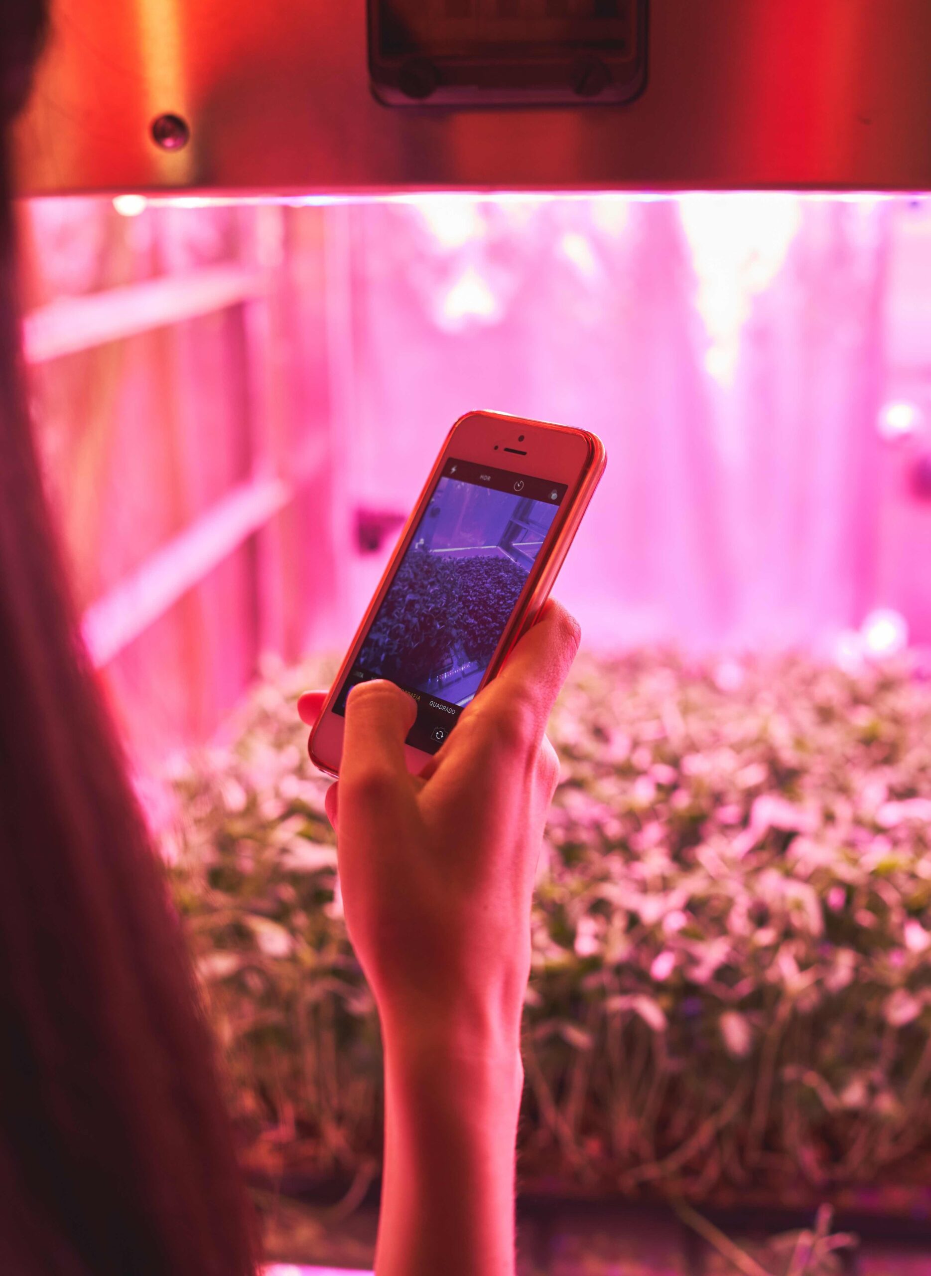Visitor takes selfie of hydroponics Έκθεση: Μετακόμιση στον Άρη-6