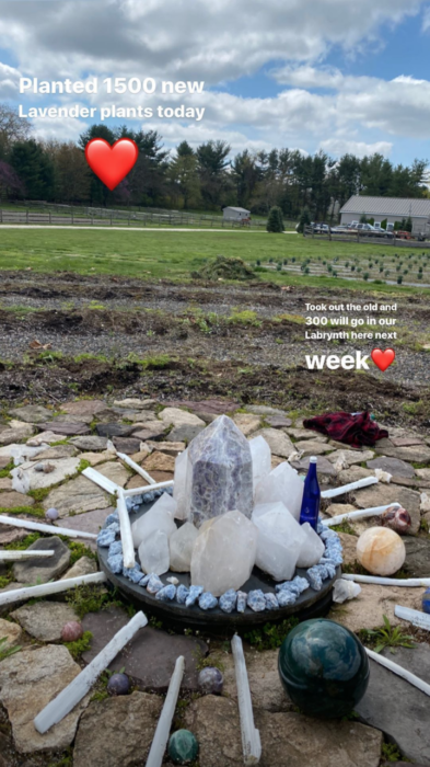 Gigi και Bella Hadid δοκιμάζουν τις ικανότητες τους στην κηπουρική-1