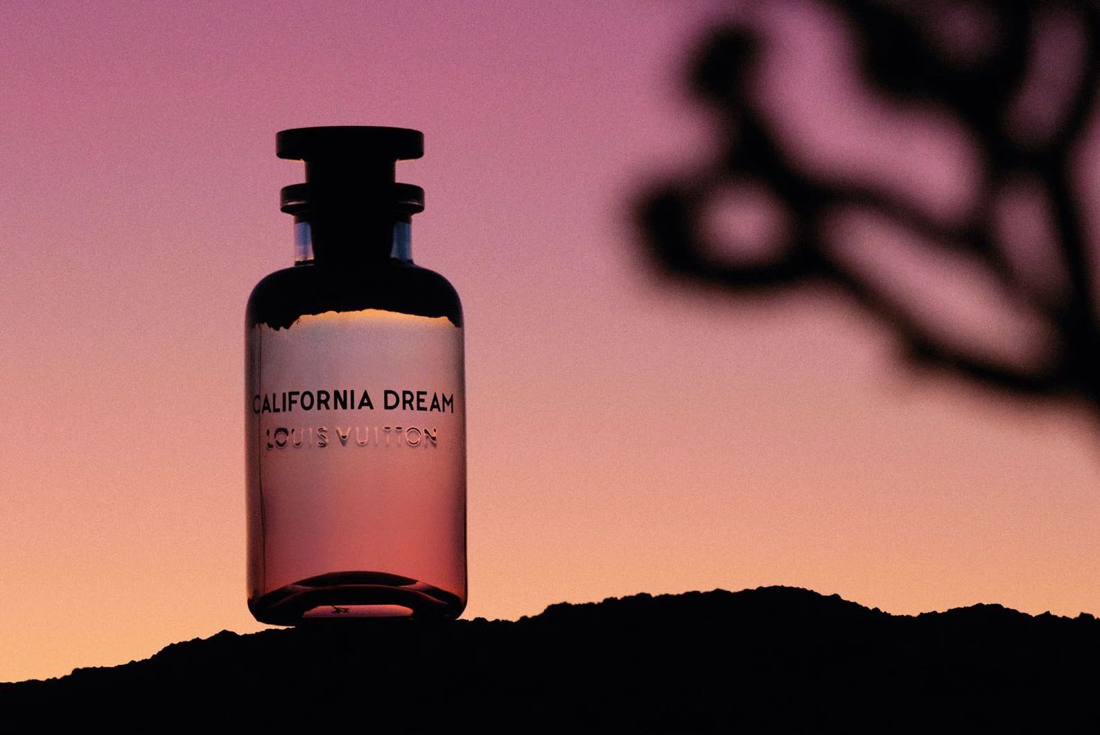 Louis Vuitton: Δήλωση στυλ από μόνο του, το άρωμα California Dream | VOGUE.GR
