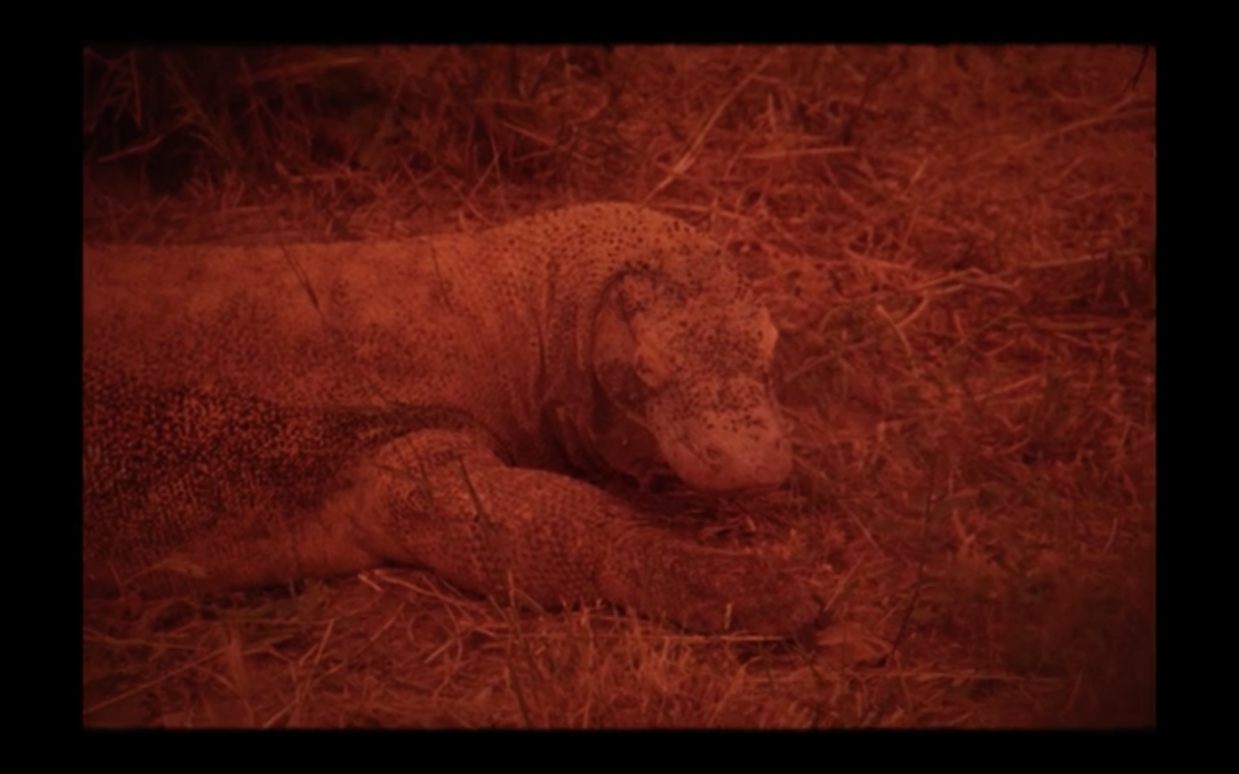 Ζακλίν Λέντζου: «Η επιτήδευση μου είναι άγνωστη λέξη»-1