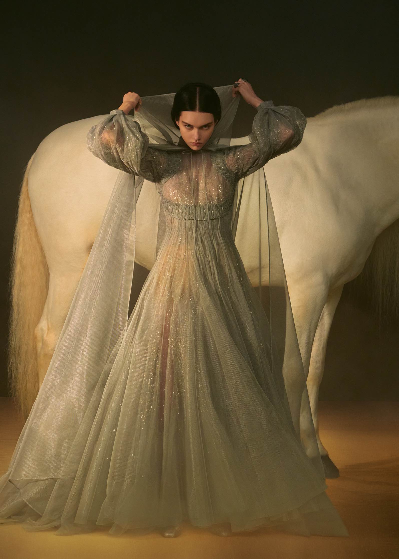 Spring/Summer 2021 Couture/ Christian Dior-43
