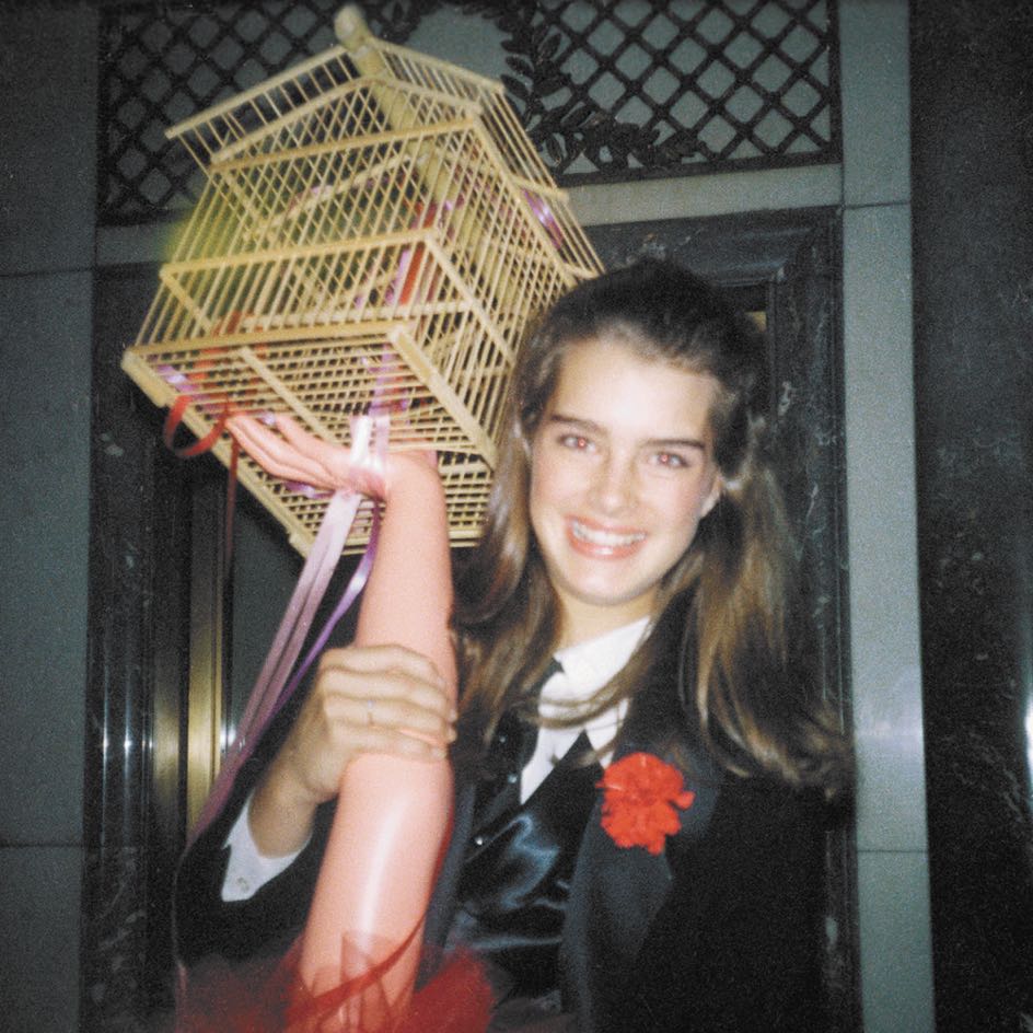 Brooke Shields Filep’s Scrapbook: Starstruck – Ο Μαγικός Κόσμος του Gary Lee Boas-5