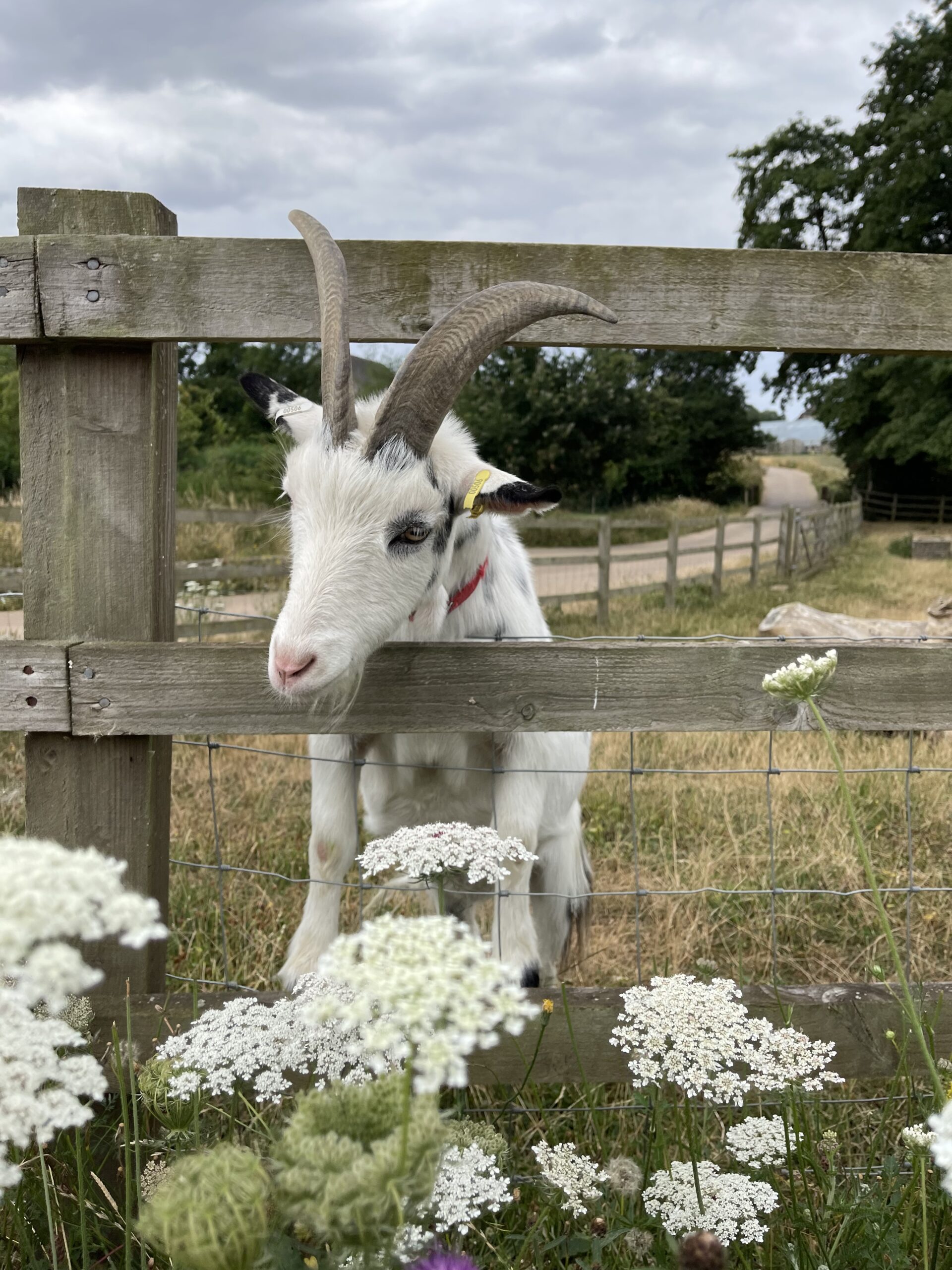 Politicult: Ένα πολύ hot καλοκαίρι στο Λονδίνο-4