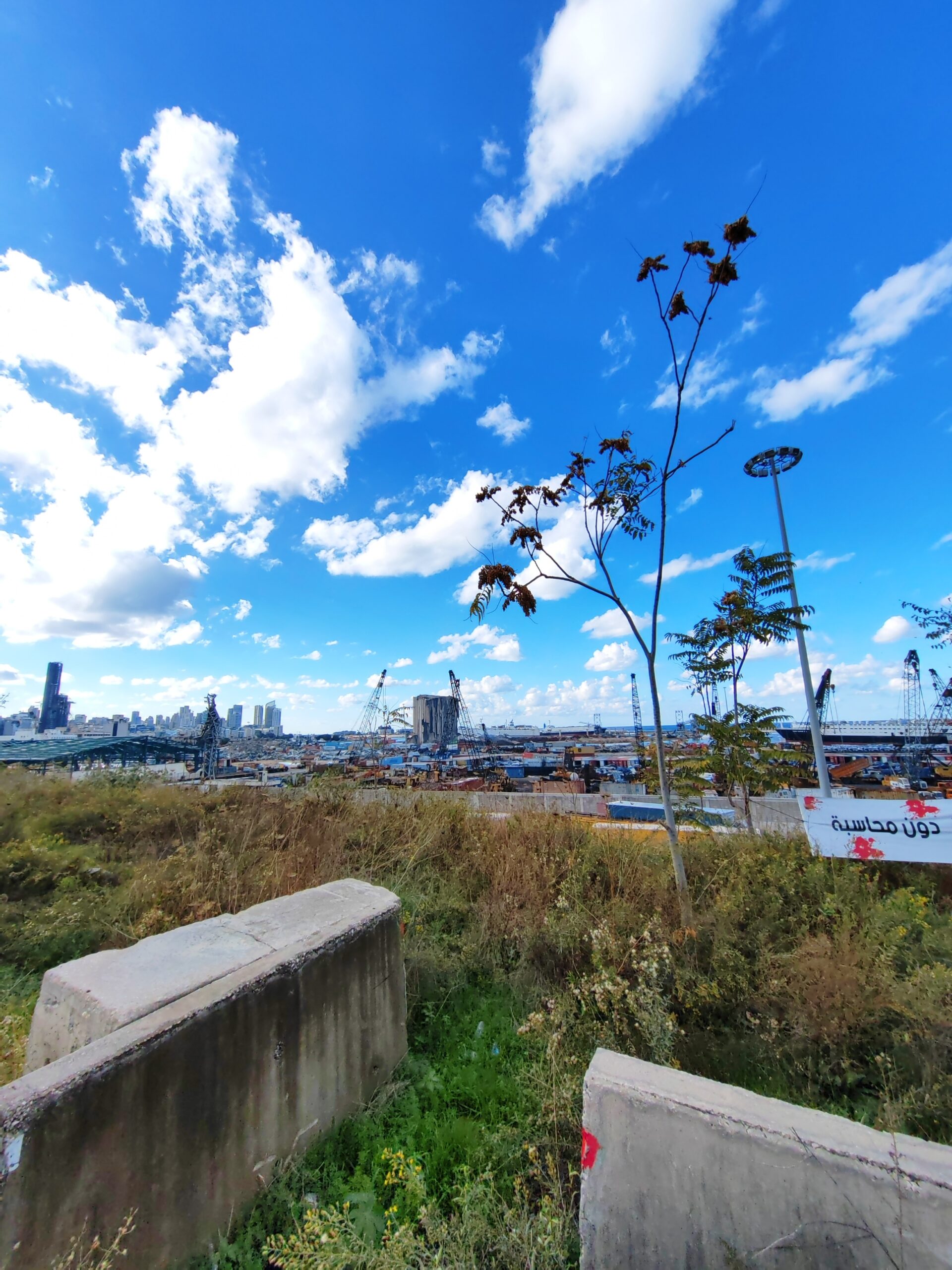 Politicult: Η Βηρυτός μου έκλεψε την καρδιά-1