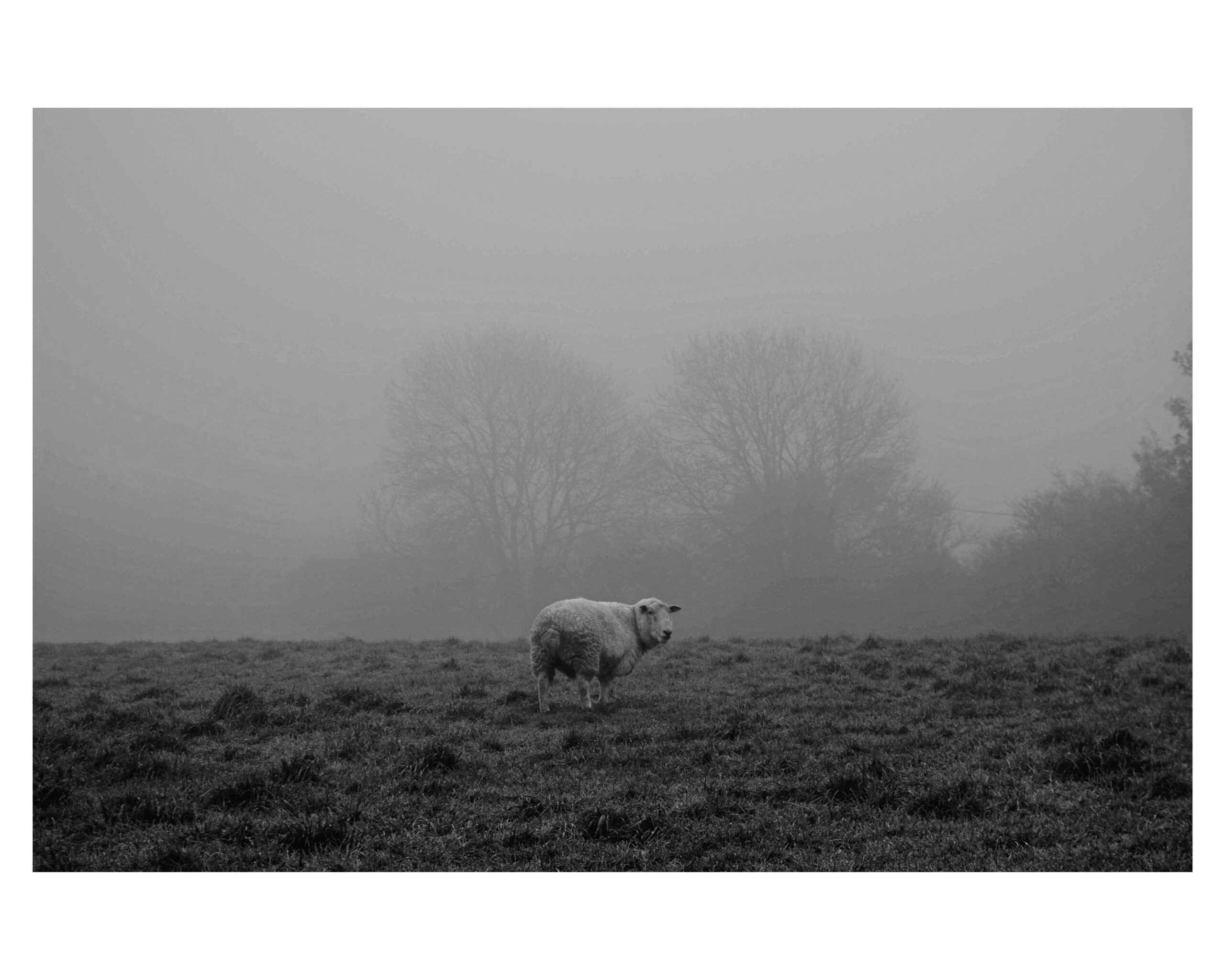 Open Call: Οι φωτογράφοι που ξεχώρισε η Vogue Greece-49