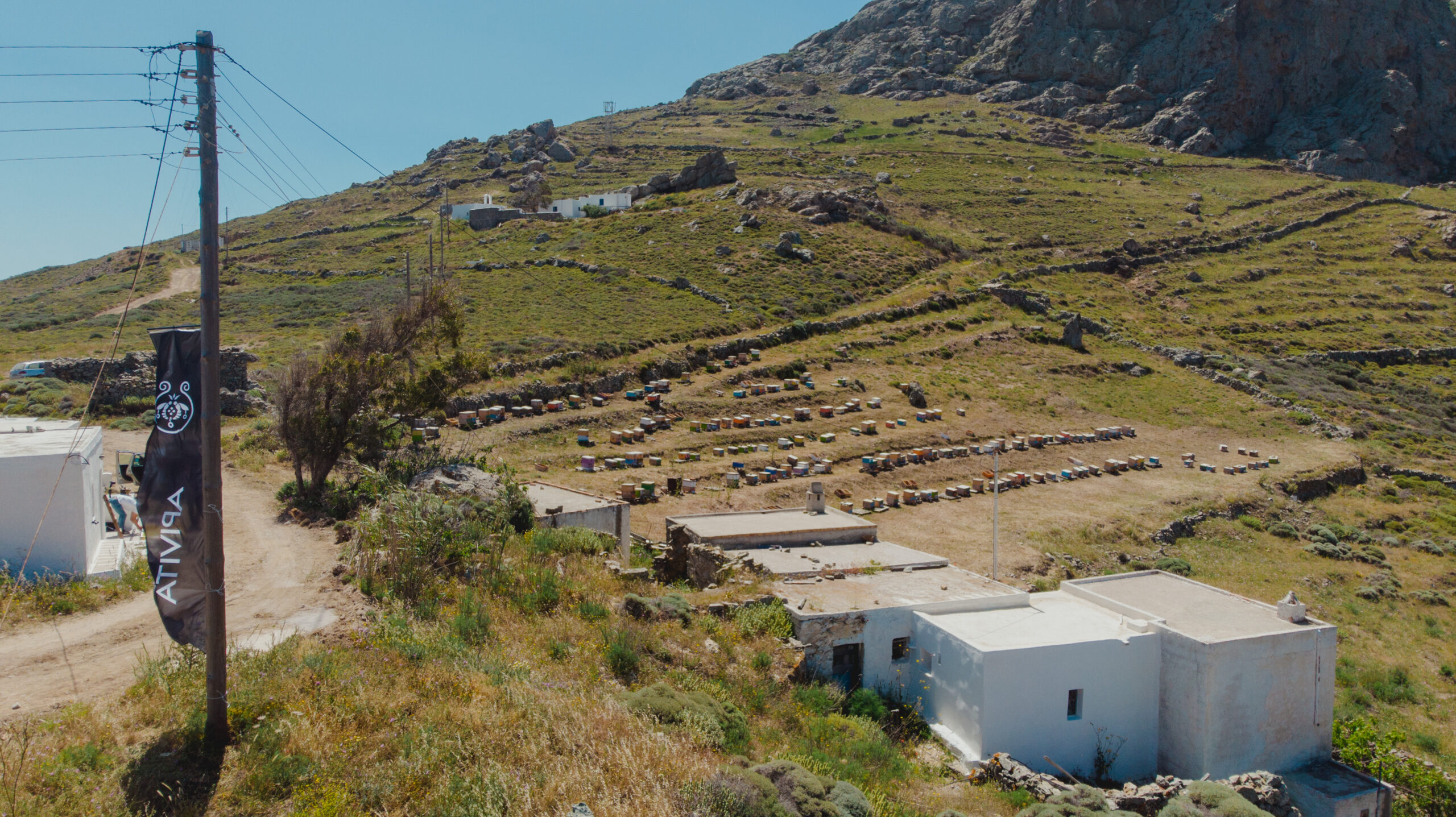 Η APIVITA έστειλε ένα δυνατό μήνυμα για τη διάσωση των μελισσών από τη Σέριφο-14