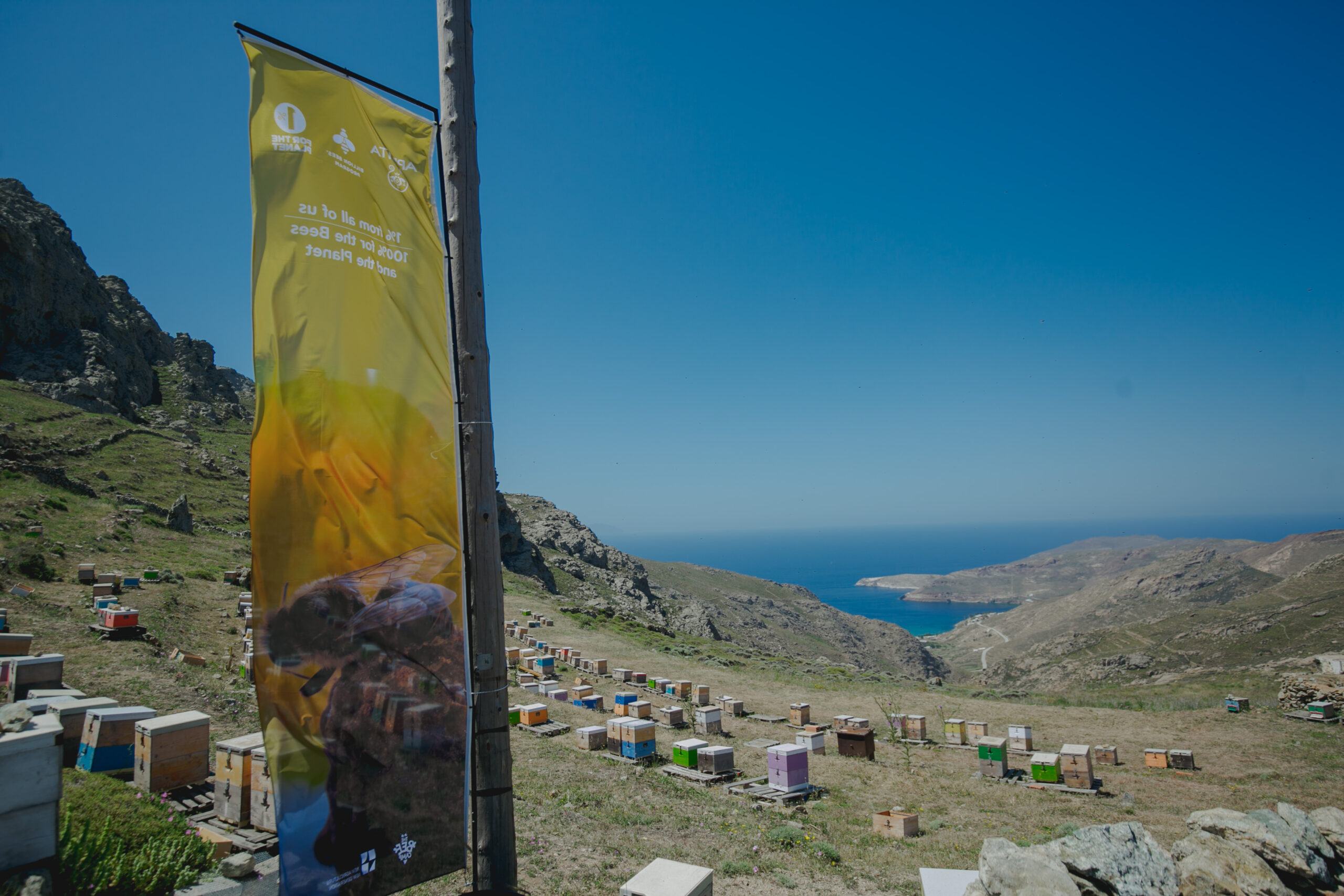 Η APIVITA έστειλε ένα δυνατό μήνυμα για τη διάσωση των μελισσών από τη Σέριφο-4