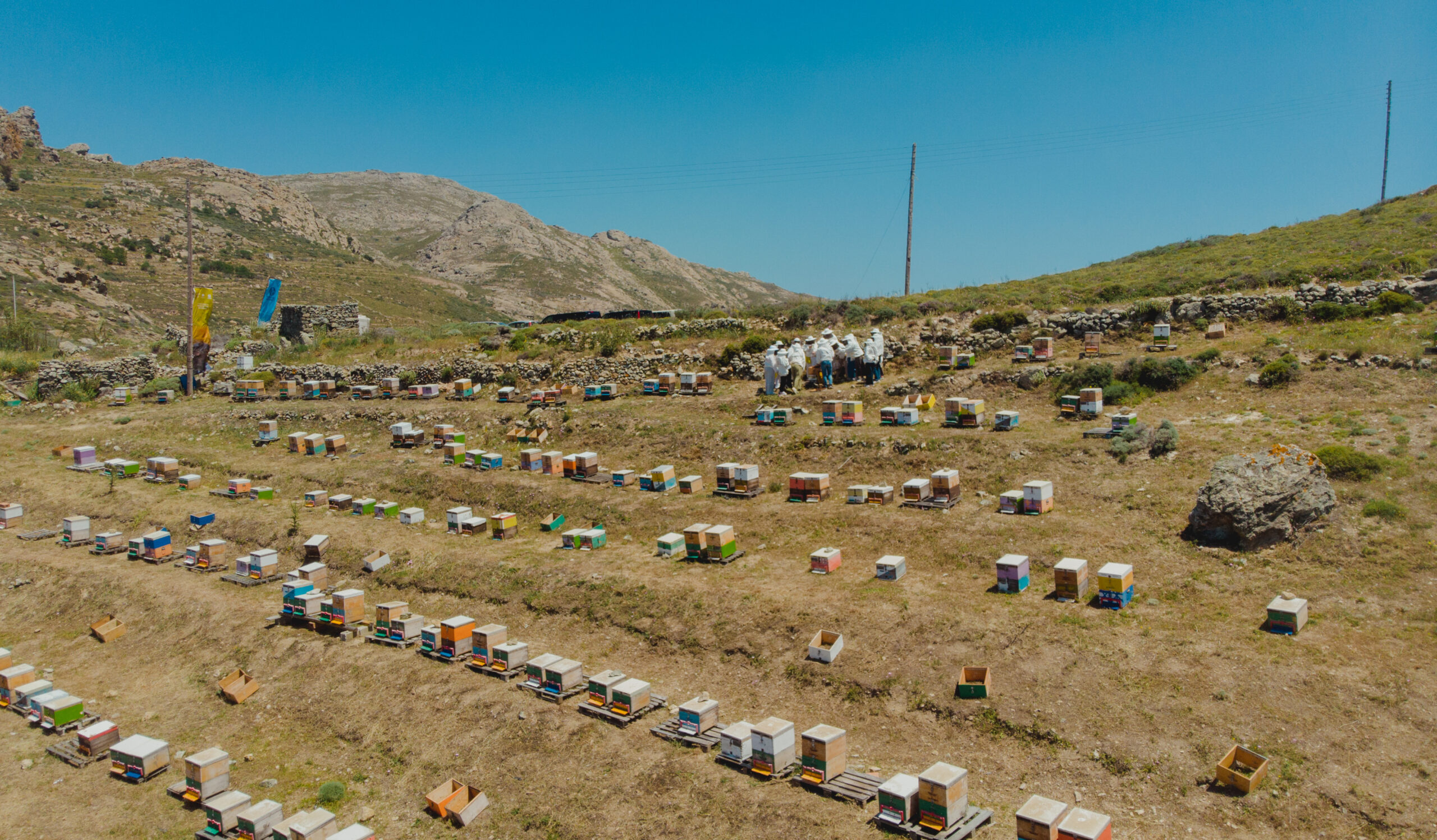 Η APIVITA έστειλε ένα δυνατό μήνυμα για τη διάσωση των μελισσών από τη Σέριφο-13