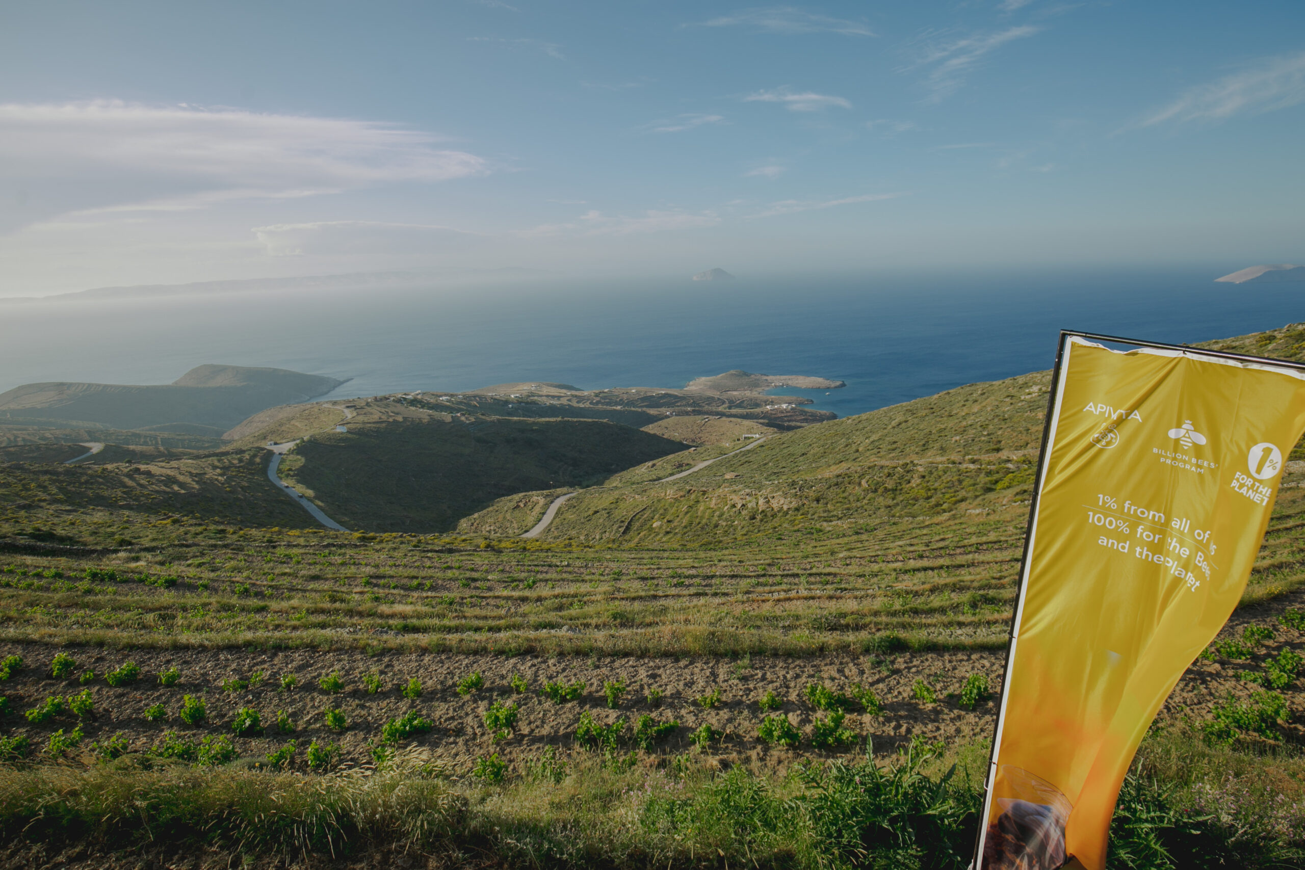 Η APIVITA έστειλε ένα δυνατό μήνυμα για τη διάσωση των μελισσών από τη Σέριφο-8