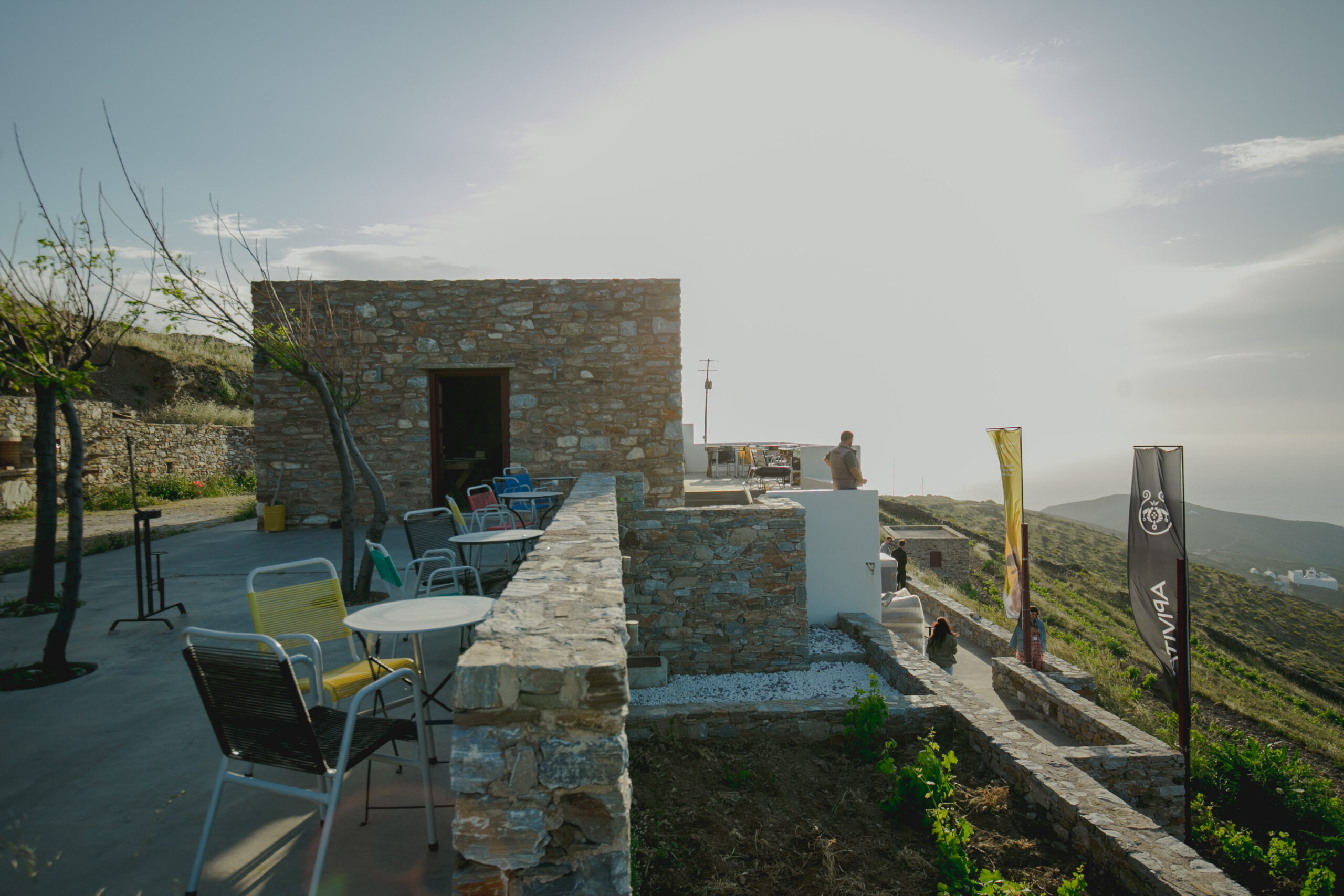 Η APIVITA έστειλε ένα δυνατό μήνυμα για τη διάσωση των μελισσών από τη Σέριφο-6