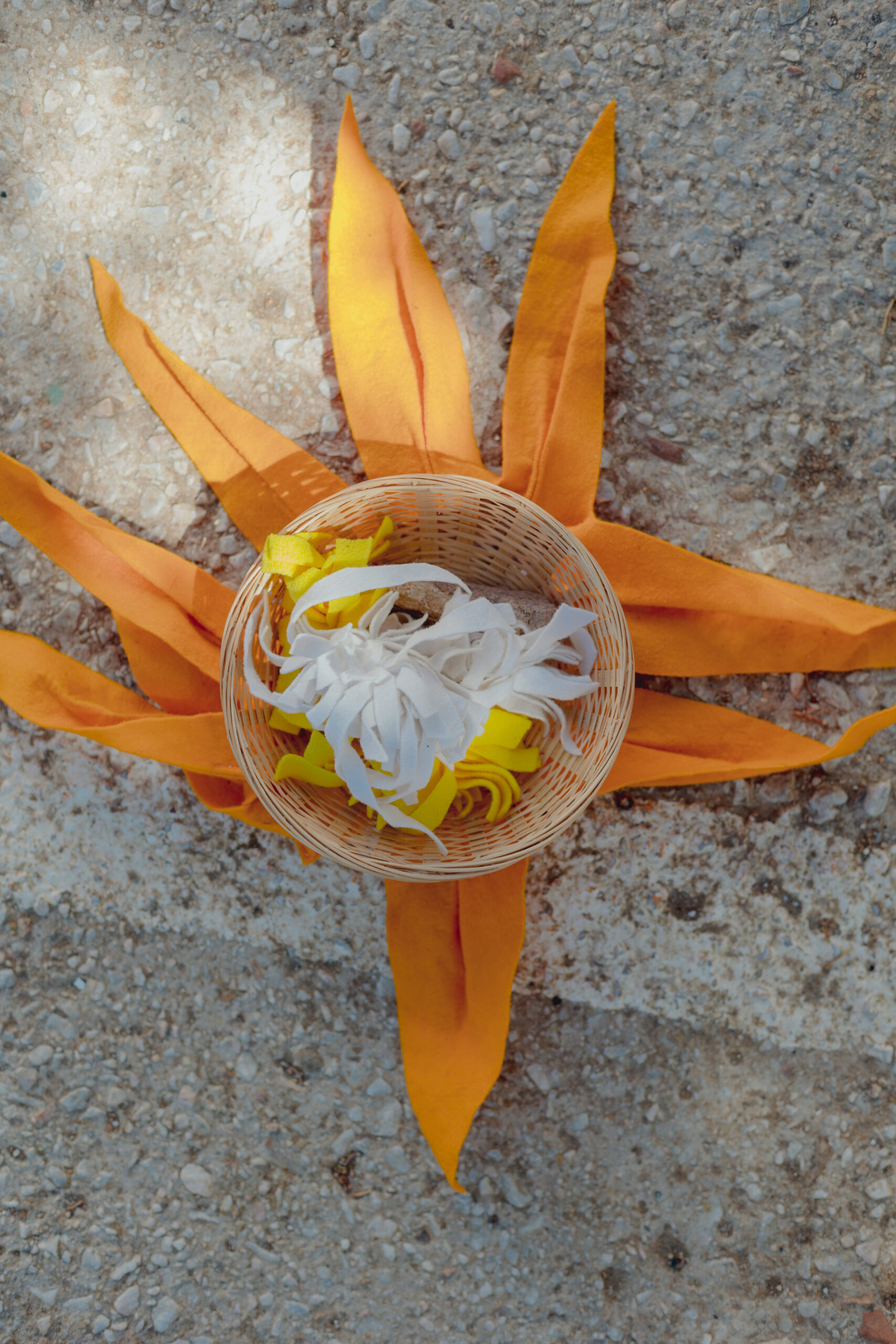 Η APIVITA έστειλε ένα δυνατό μήνυμα για τη διάσωση των μελισσών από τη Σέριφο-11