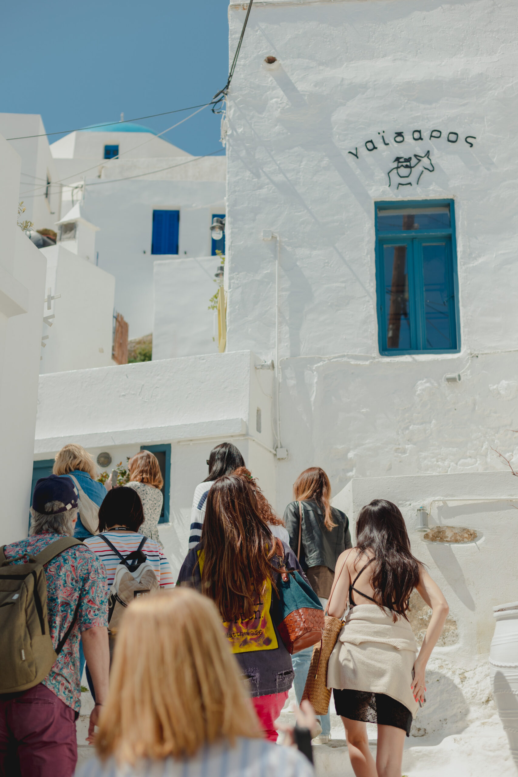 Η APIVITA έστειλε ένα δυνατό μήνυμα για τη διάσωση των μελισσών από τη Σέριφο-9