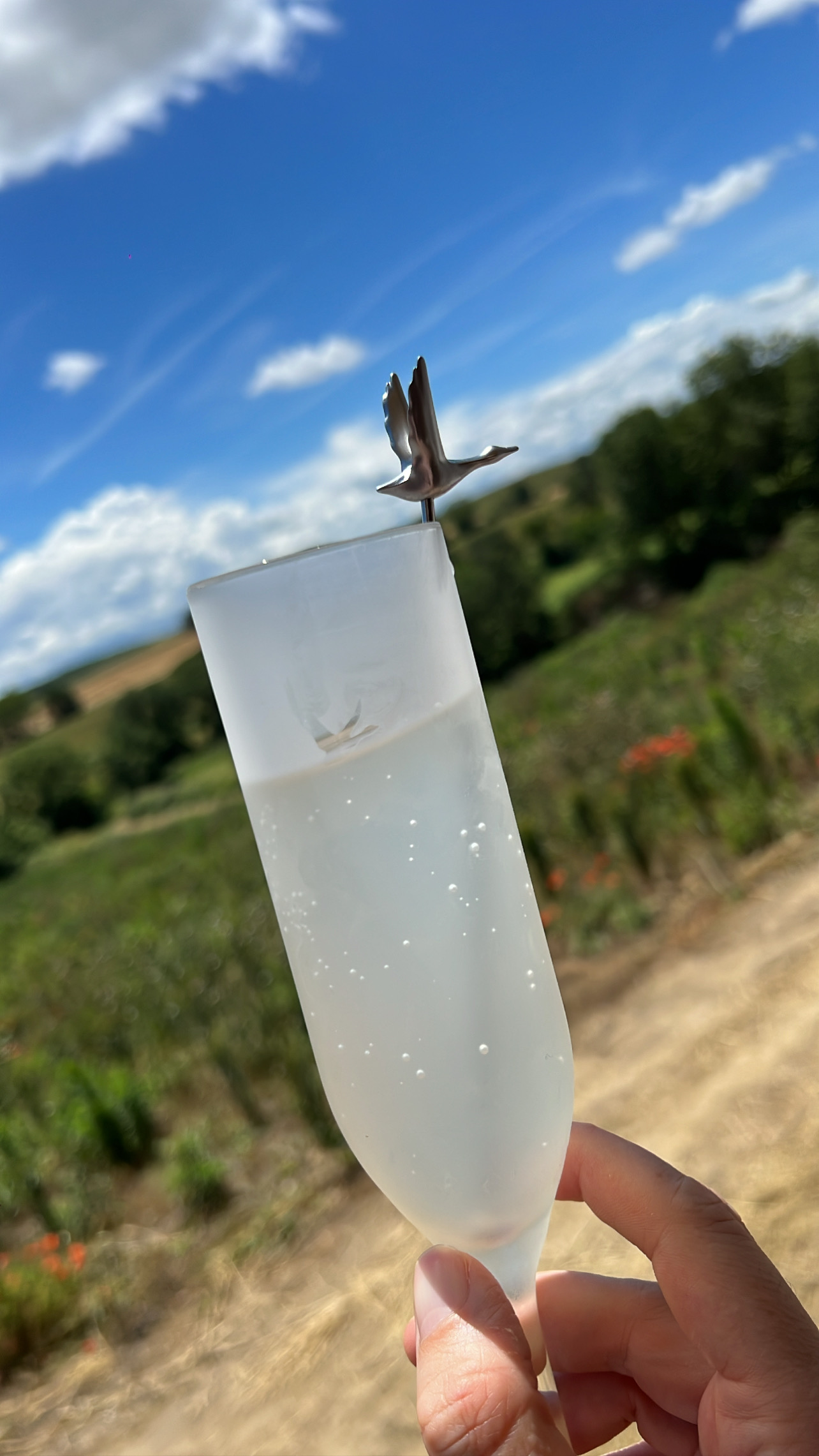 Slow living: Απόδραση σε έναν μυστικό παράδεισο στη Νότια Γαλλία-1