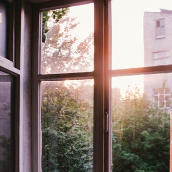 the-x-file-συγγένεια-βιβλίων-294668