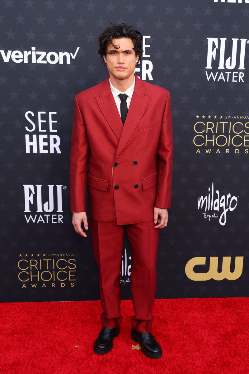 Critics’ Choice Awards 2024: Οι εμφανίσεις στο κόκκινο χαλί-15