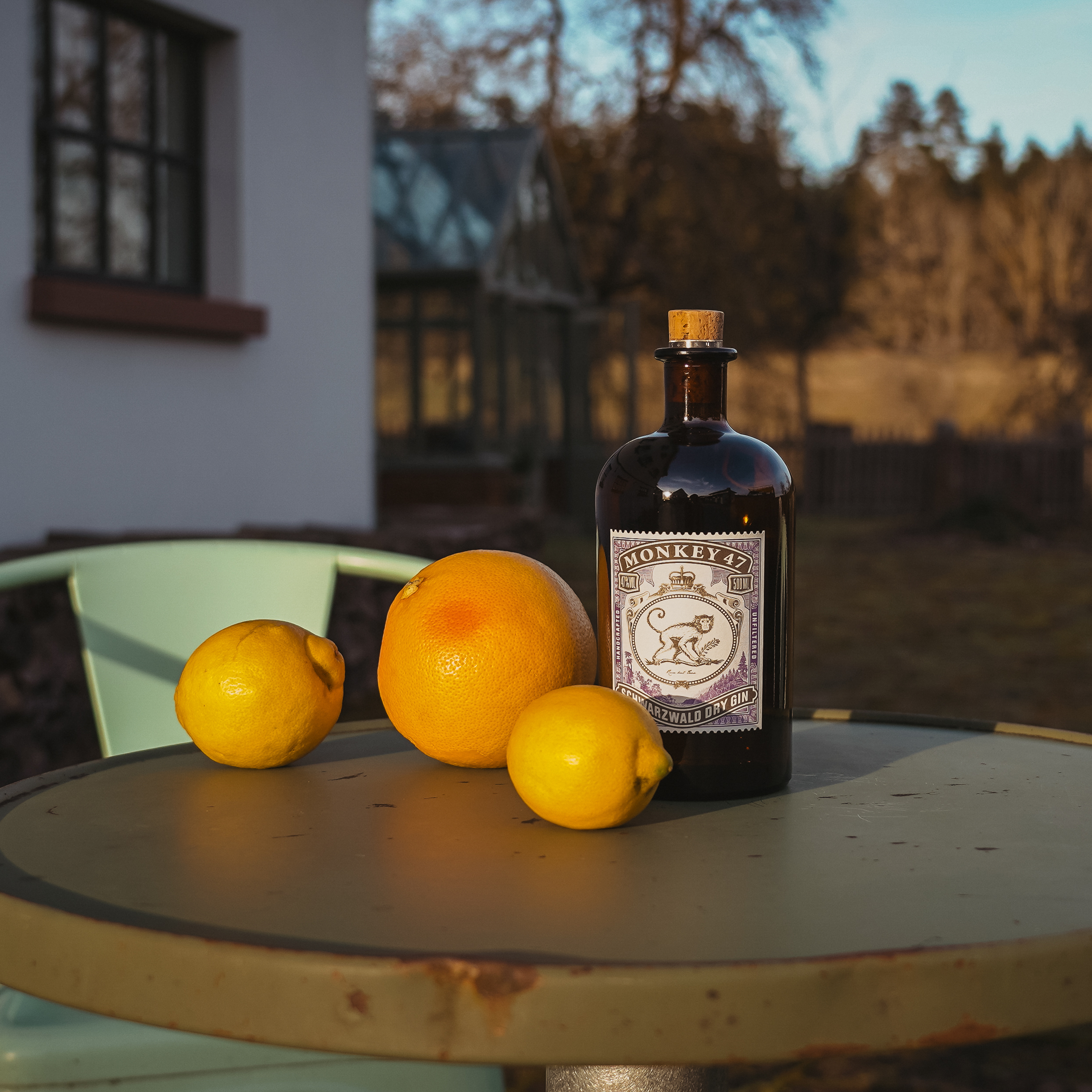 Μια Monkey 47 εμπειρία στην καρδιά του γερμανικού Black Forest-1