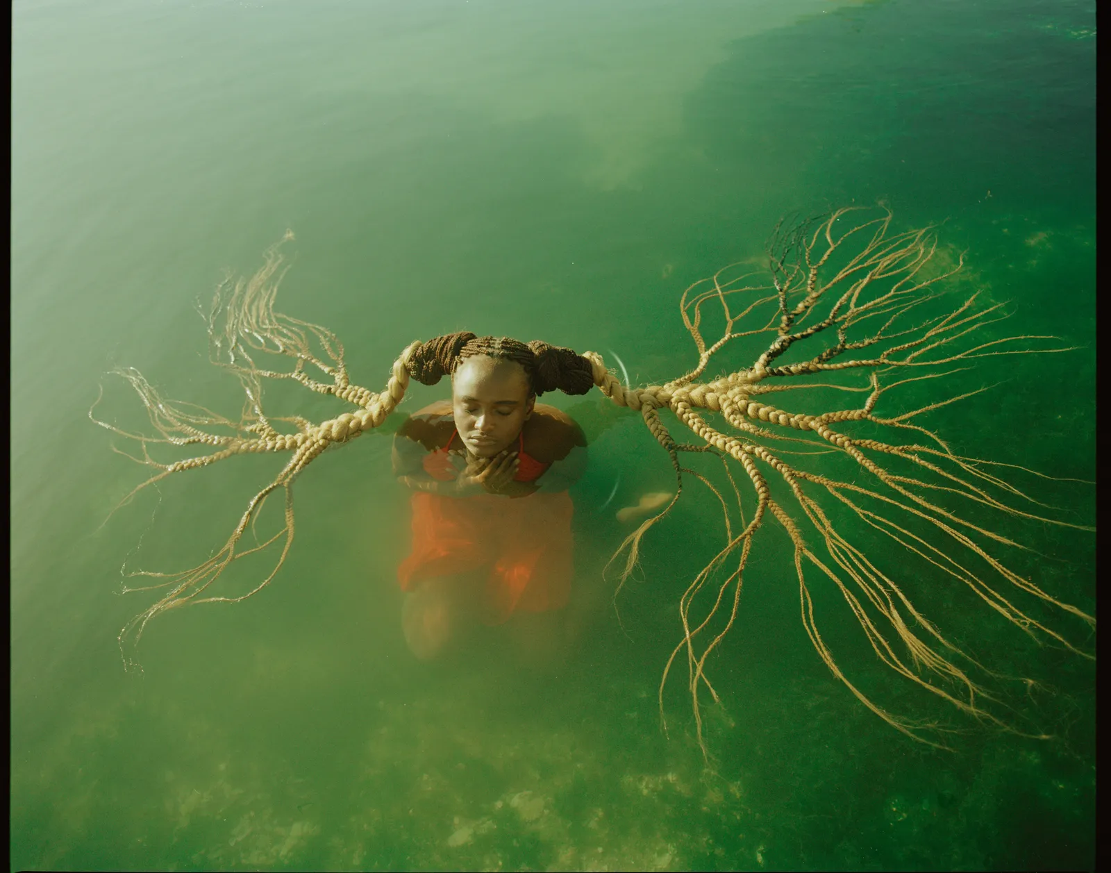 PhotoVogue: The Tree of Life, μια επιστολή αγάπης στη φύση-2