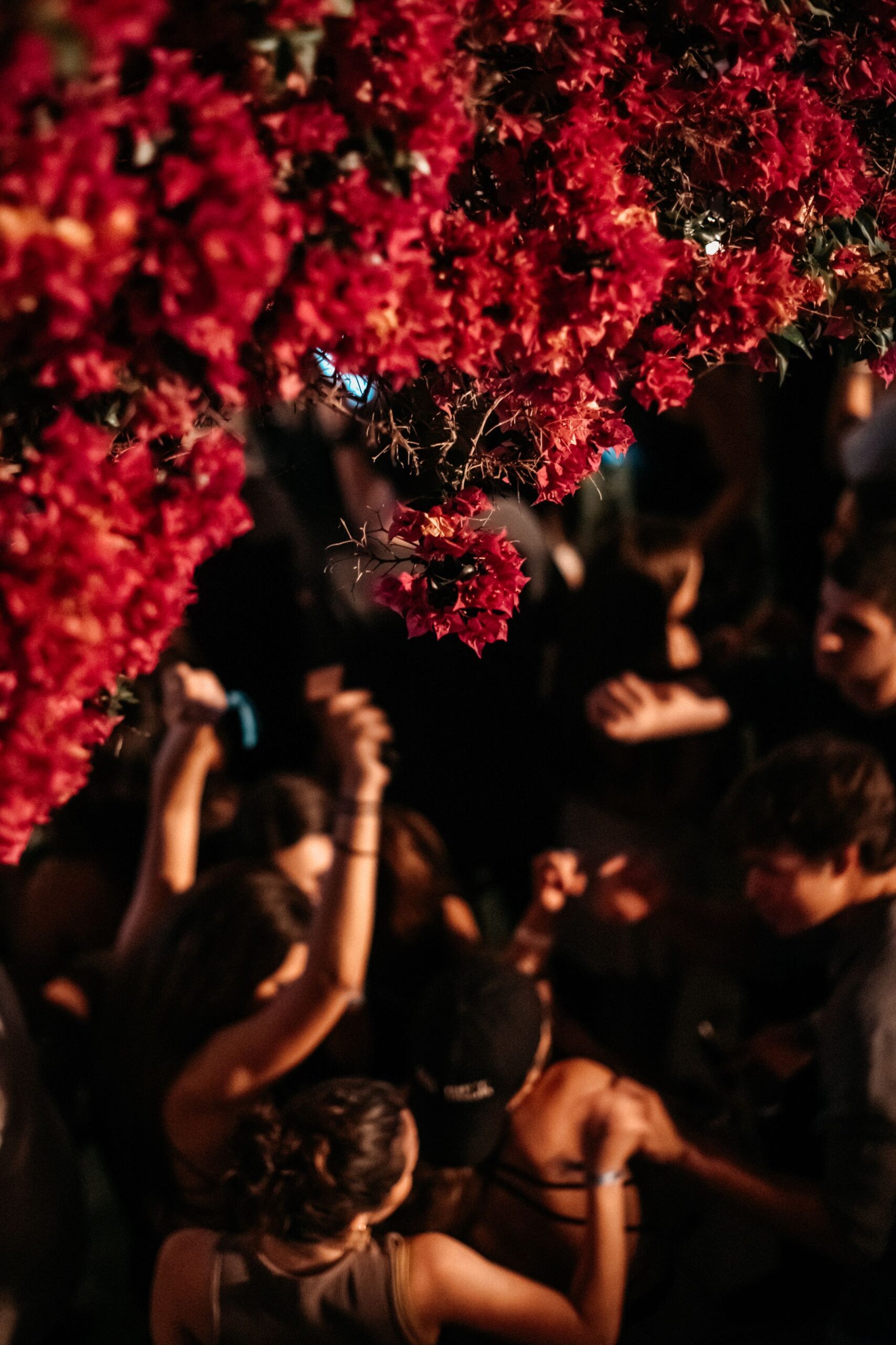 Το Island club restaurant καλωσορίζει τα summer nights στις 9 Μαΐου-5