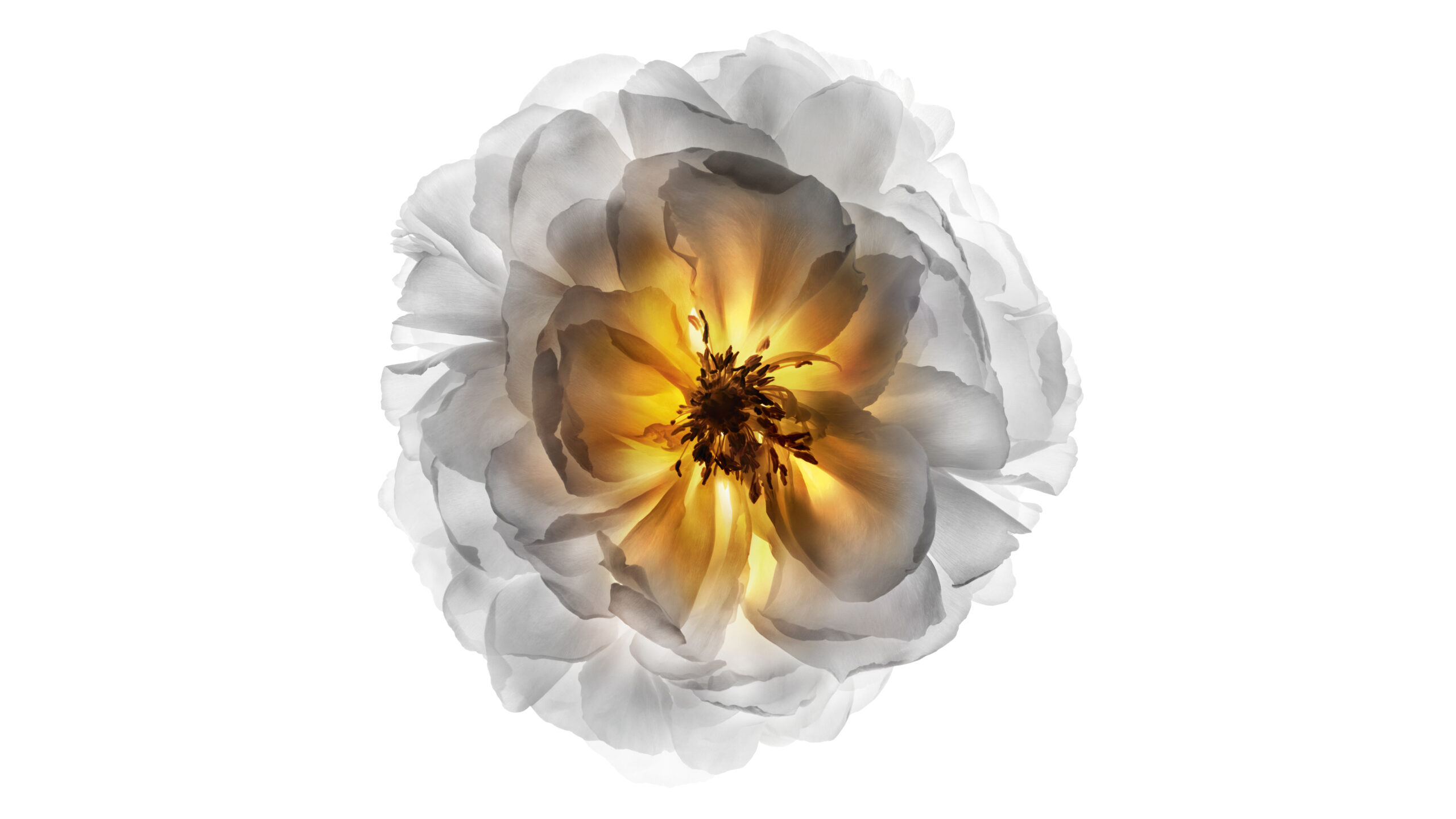 Elixir Ultime: Το εμβληματικό έλαιο μαλλιών της Kérastase μπήκε στο καλοκαιρινό νεσεσέρ της Vogue-3