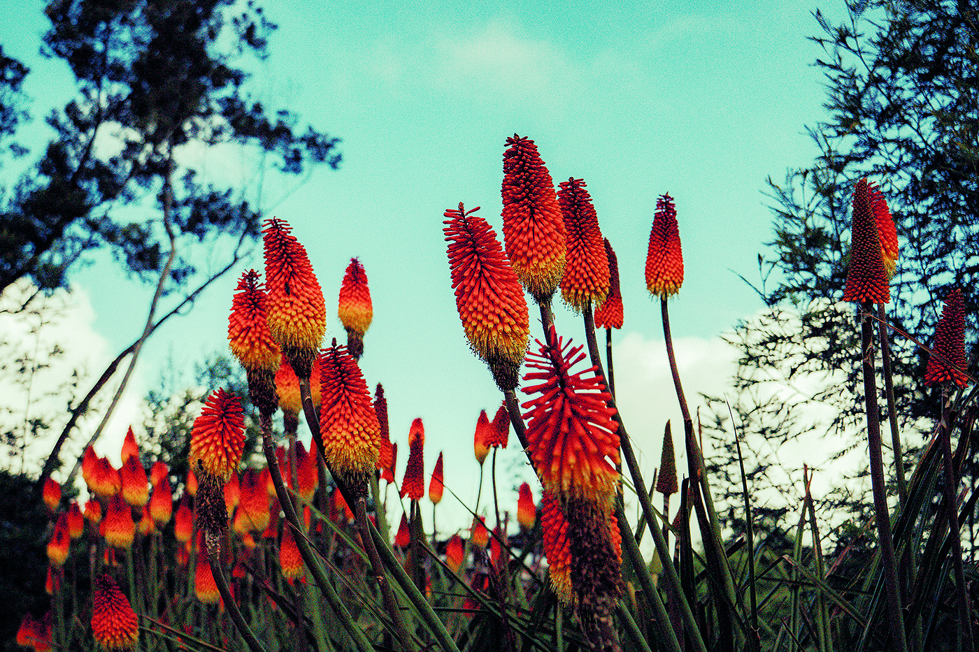 Η έκδοση A Perfume Atlas του Louis Vuitton μάς ξεναγεί σε έναν κόσμο γεμάτο ομορφιά και αρώματα-2