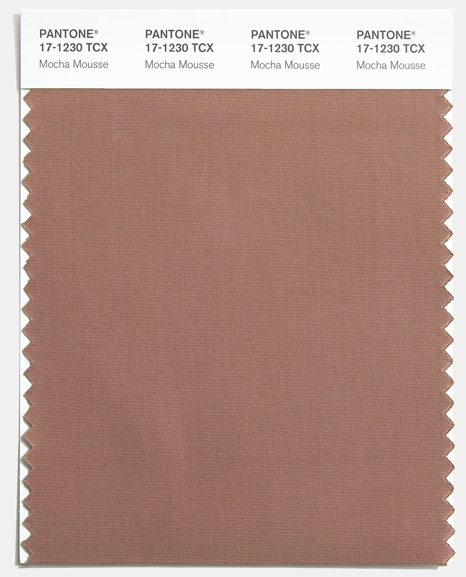 Mocha Mousse: Είναι το χρώμα της Pantone για το 2025-1