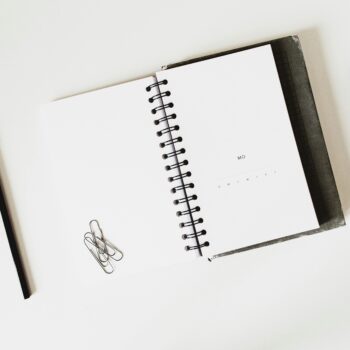 the-x-file-λίστες-του-2024-και-συνηθισμένοι-άνθρω-343306