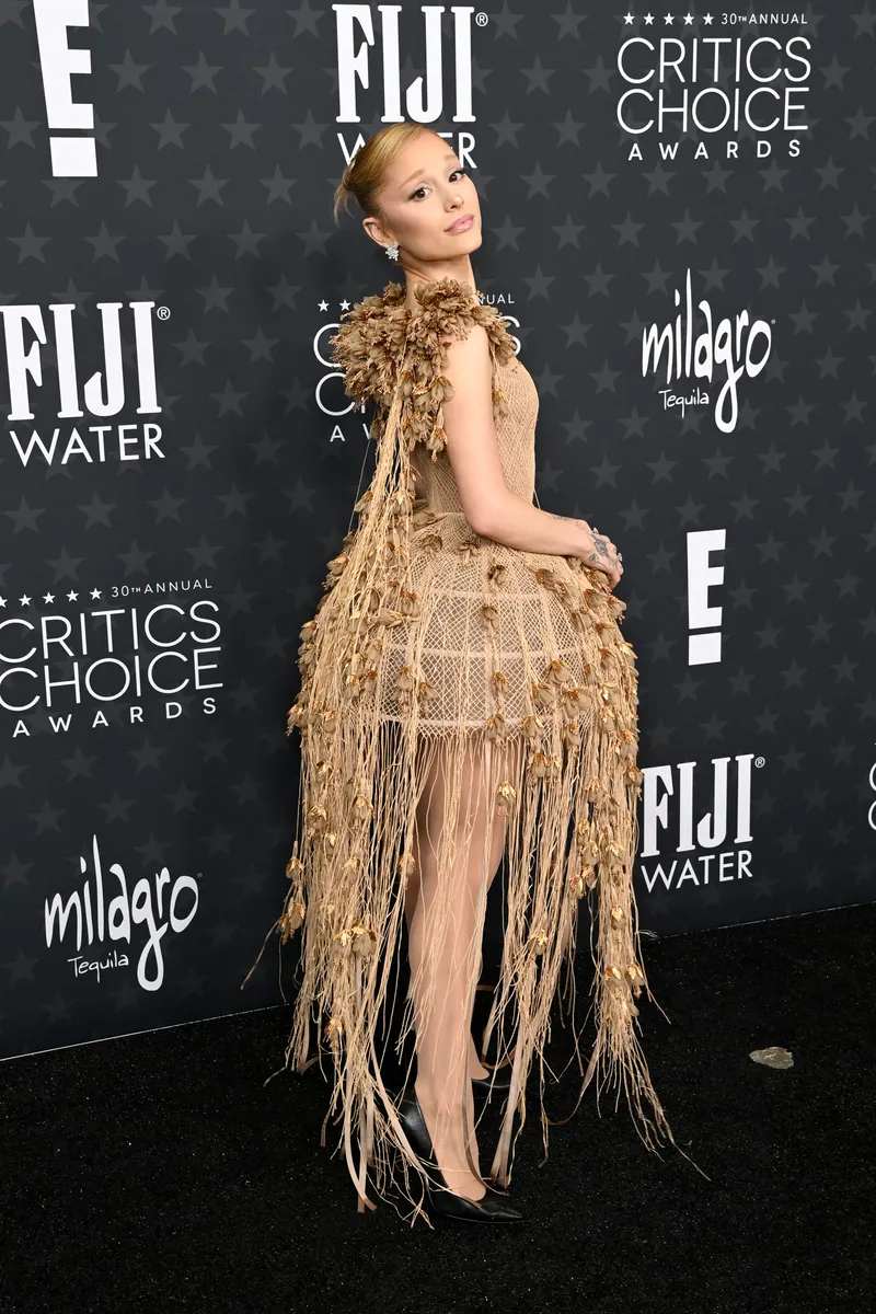 Critics Choice Awards 2025: Οι εμφανίσεις στο κόκκινο χαλί-8