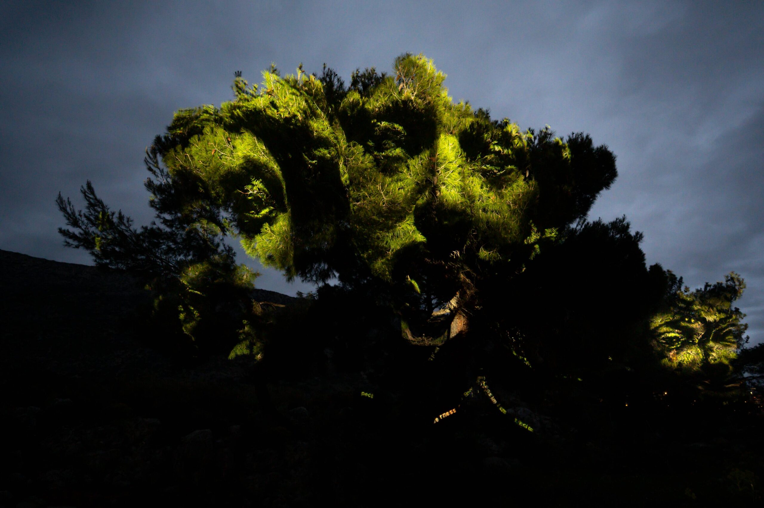 Όταν η Πυθία συνάντησε την Τεχνητή Νοημοσύνη-4
