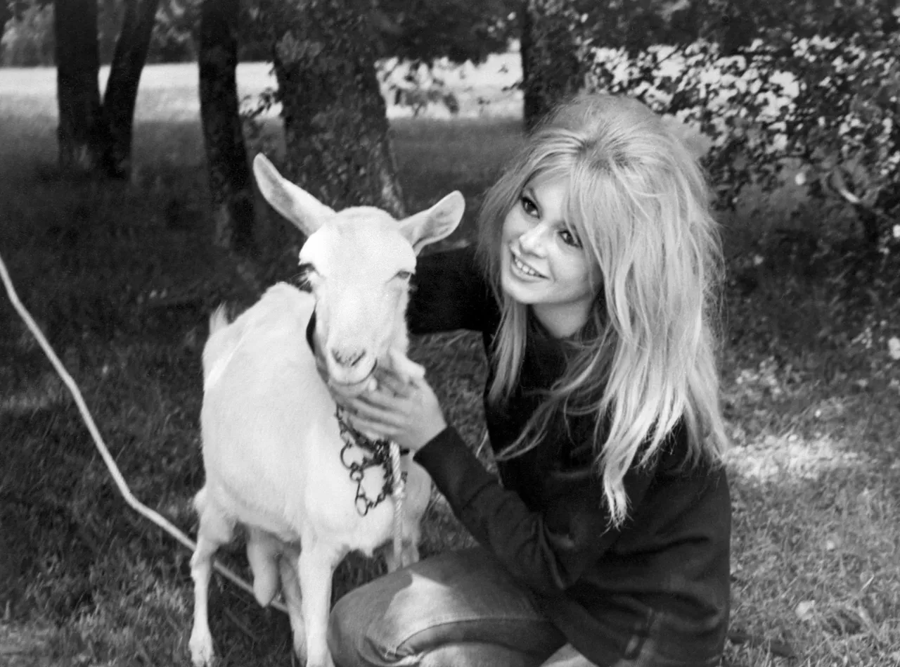Έφυγε από τη ζωή η Brigitte Bardot: Η Vogue θυμάται 16 σπάνιες φωτογραφίες της-11