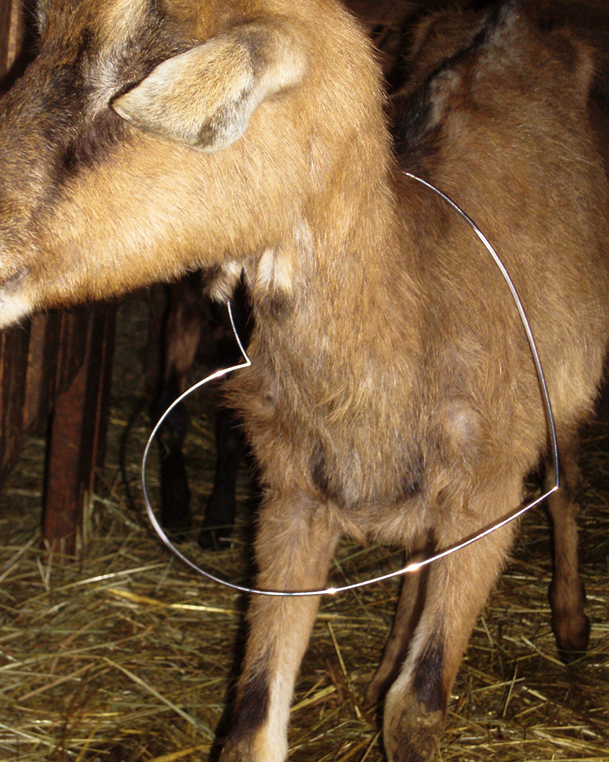 STEPHANIE D’HEYGERE: Φορέσιμες Ιστορίες!-4