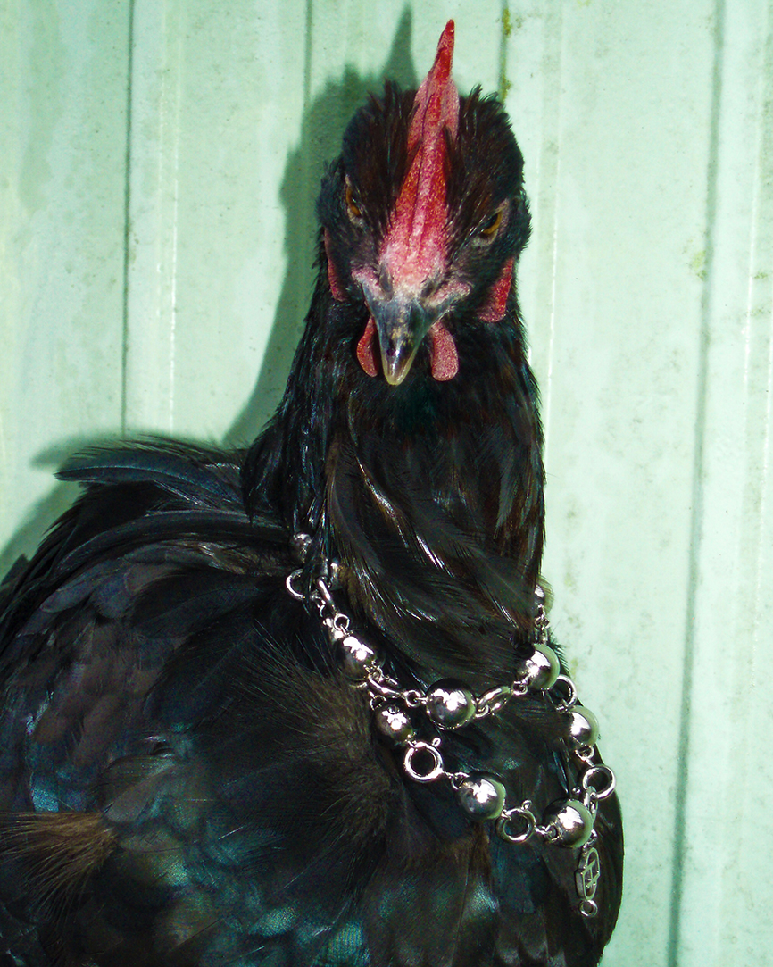 STEPHANIE D’HEYGERE: Φορέσιμες Ιστορίες!-1