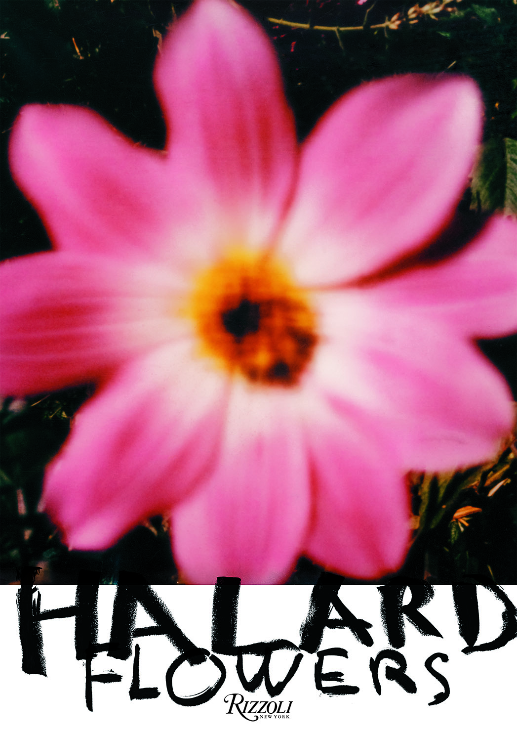 Ο Francois Halard αποκαλύπτεται στη Vogue Greece μέσα από το ερωτηματολόγιο του Marcel Proust-3