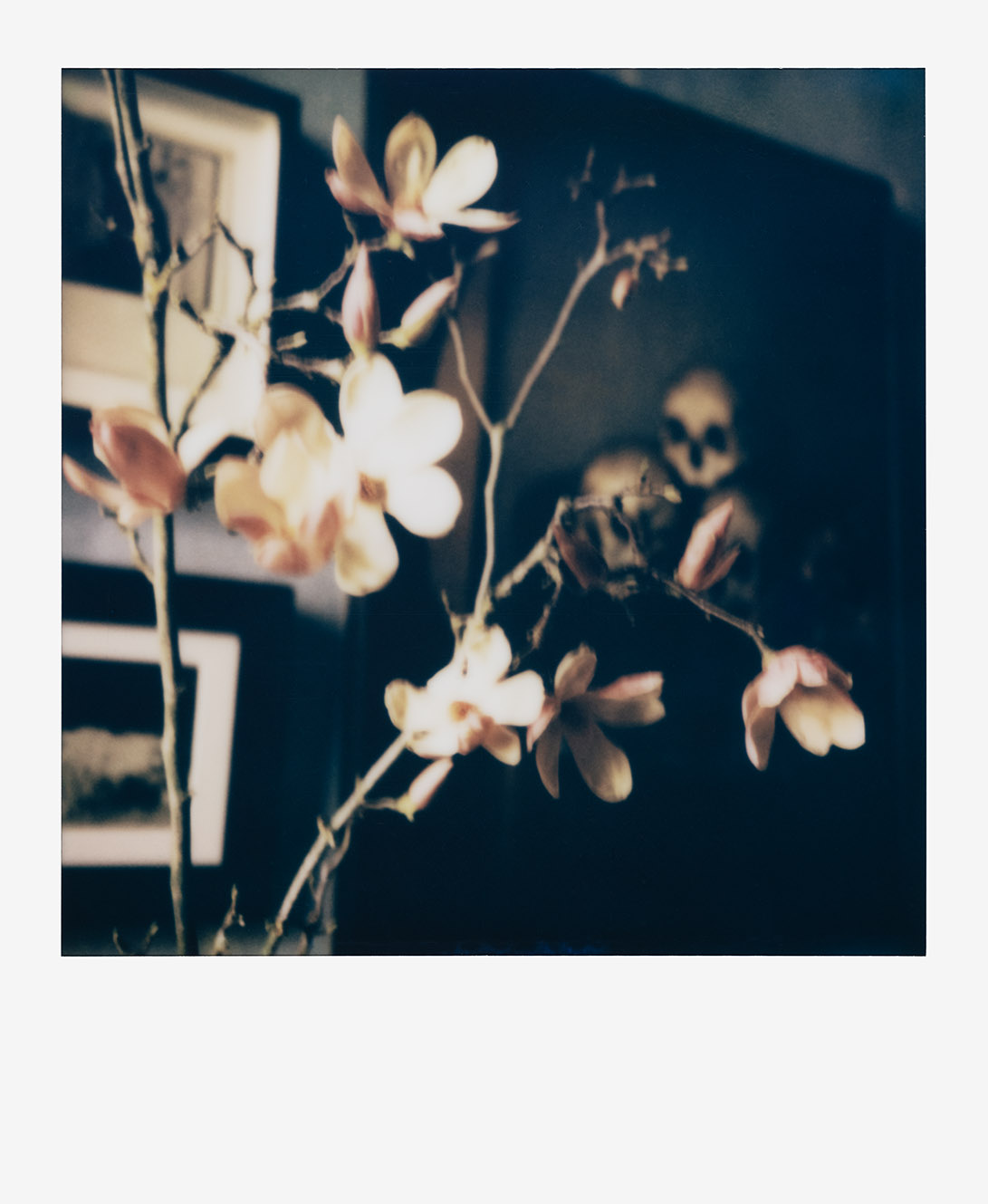 Ο Francois Halard αποκαλύπτεται στη Vogue Greece μέσα από το ερωτηματολόγιο του Marcel Proust-4