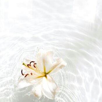 12-ακαταμάχητα-και-πάντα-διαχρονικά-αρώ-396318