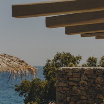 το-the-wild-hotel-αποκαλύπτει-την-ακατέργαστη-ομο-399806